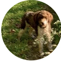 Photo from Vincent's review of Rue